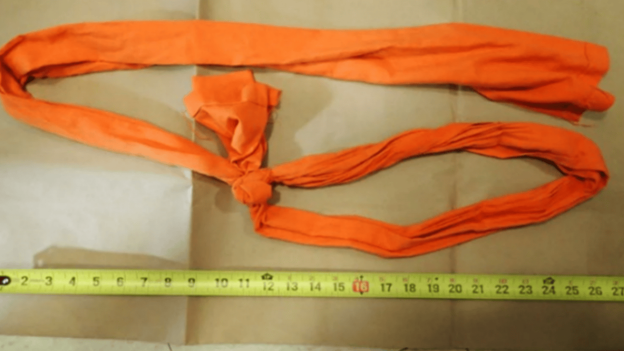 Foto - Pedofili sapık Epstein’in ölüm gecesi ortaya çıkan ‘turuncu’ sır!