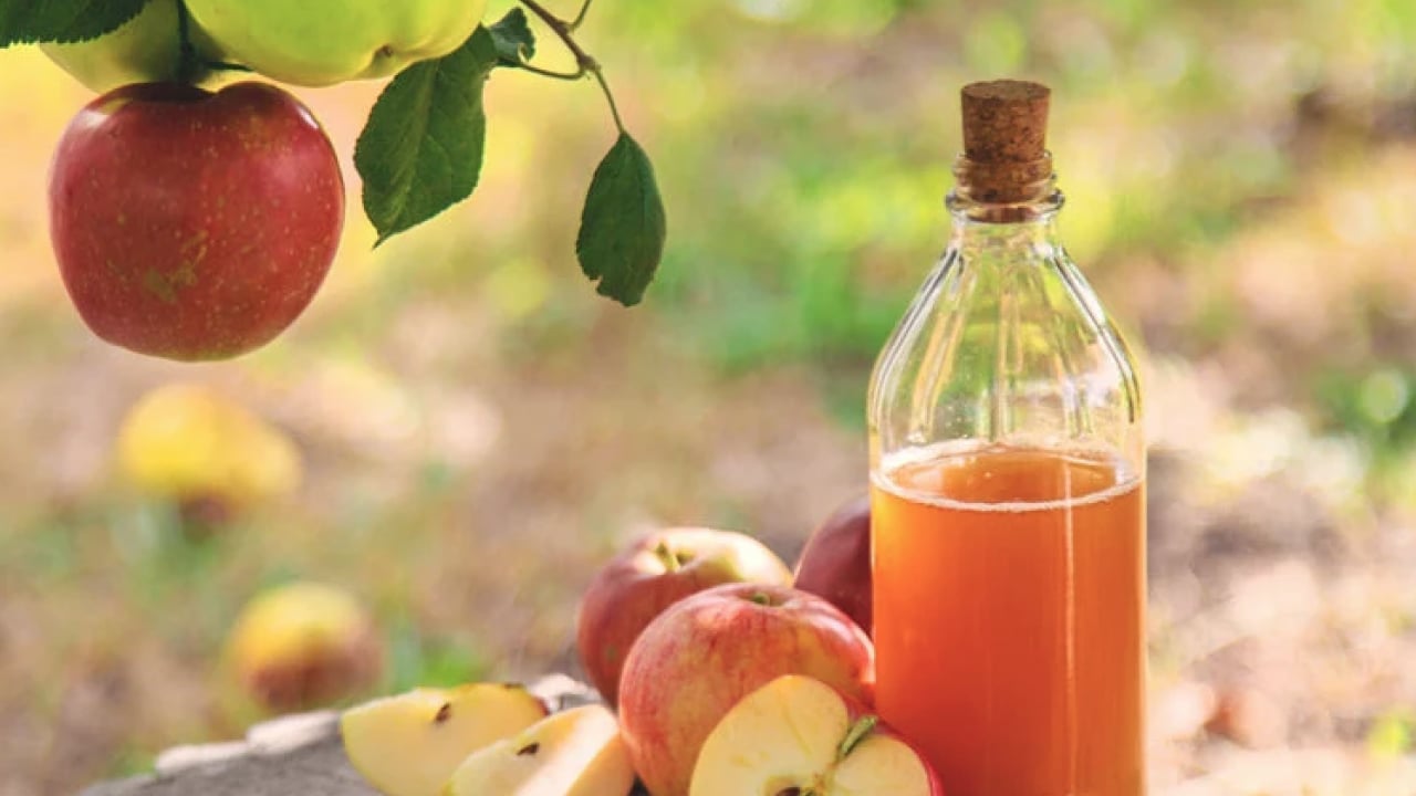 Foto - Peki elma sirkesi hangi hastalıkları kapı dışarı ediyor! Faydası yok diyorlardı oysa ki...