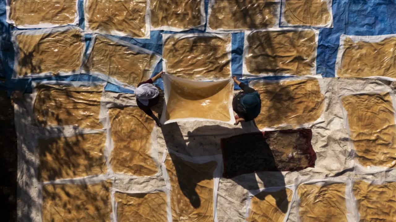 Foto - Pekmezden daha kuvvetli: Kemikleri demir gibi yapıyor!