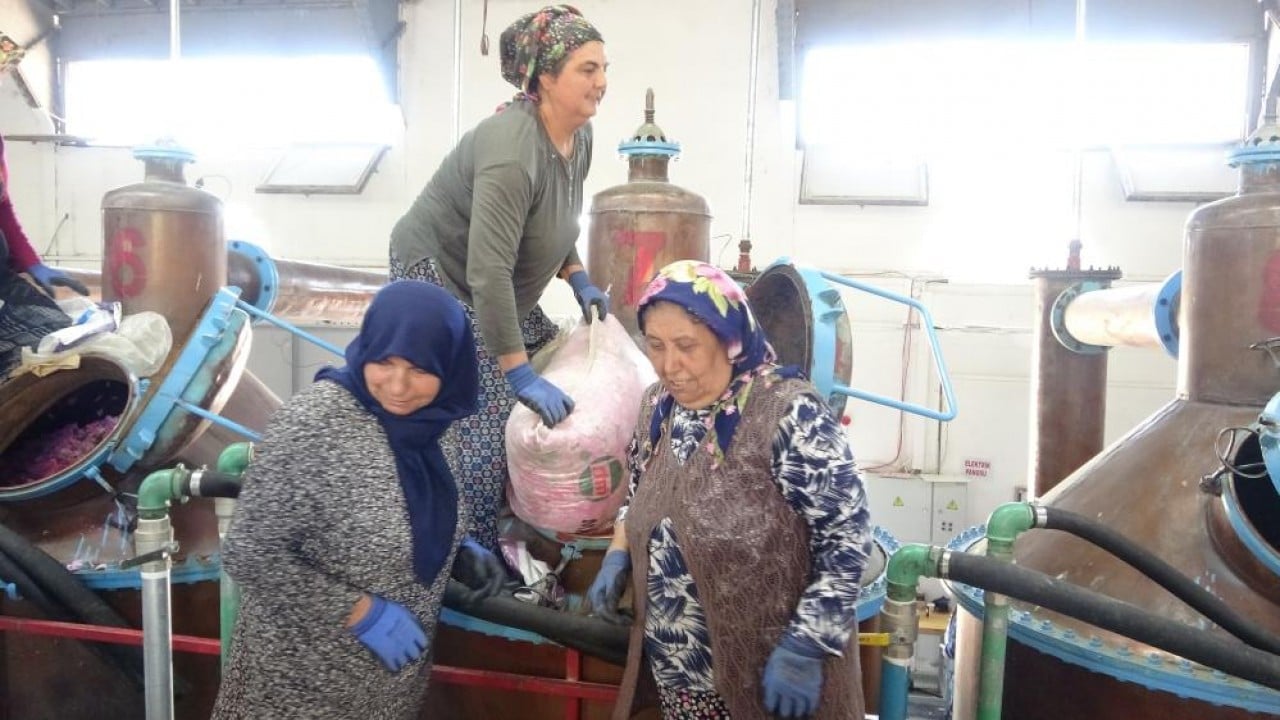Foto - Pembe hazine! Kilosu 12 bin Euro’ya alıcı buluyor