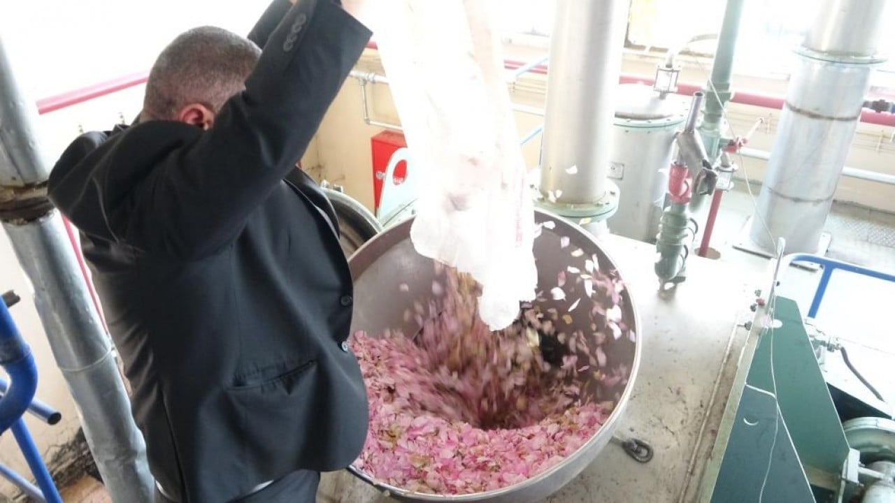 Foto - Pembe hazine! Kilosu 12 bin Euro’ya alıcı buluyor