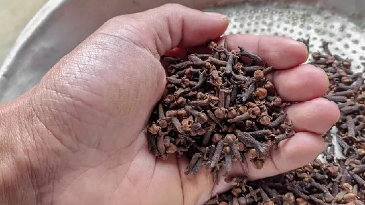 Foto - Pencere önüne 2 adet bırakmak yeterli! Sinekleri korkutup kaçıran o gizli karışım açıklandı