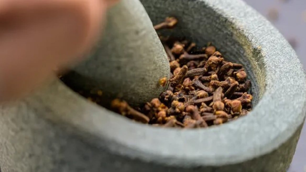 Foto - Pencere önüne 2 adet bırakmak yeterli! Sinekleri korkutup kaçıran o gizli karışım açıklandı