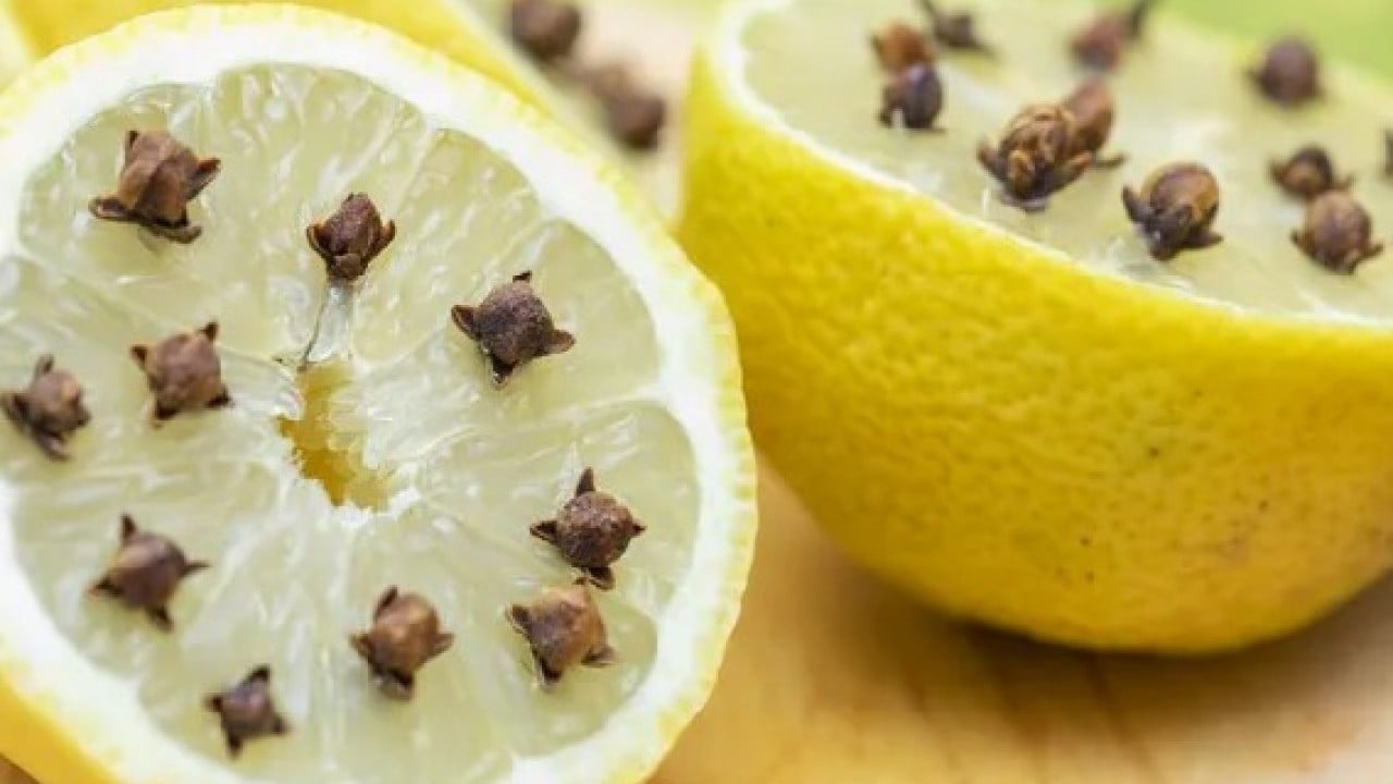 Foto - Pencere önüne 2 adet bırakmak yeterli! Sinekleri korkutup kaçıran o gizli karışım açıklandı
