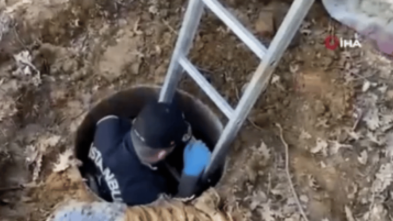 Foto - Pendik’te cephanelik kuyusu: Toprağın altından silah deposu çıktı