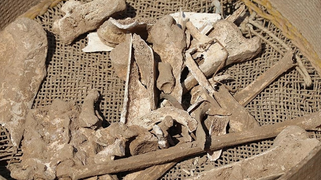 Peru’da 600 yılına ait toplu mezar keşfedildi: Hem yetişkin hem çocuk hem de ritüel objeler keşfetti
