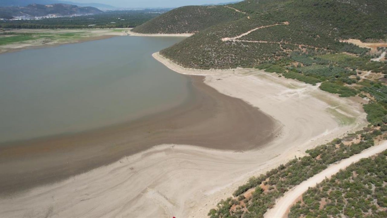 Foto - Peş peşe yok oluyorlar!