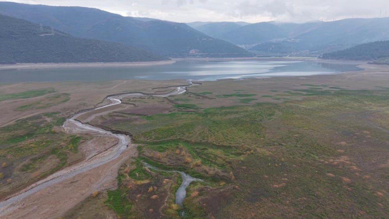 Foto - Peş peşe yok oluyorlar!