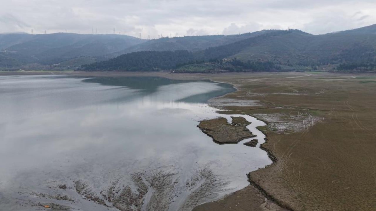 Foto - Peş peşe yok oluyorlar!