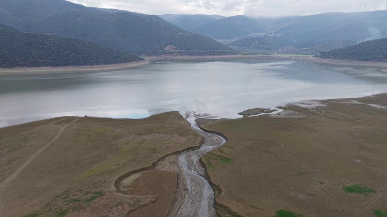 Foto - Peş peşe yok oluyorlar!