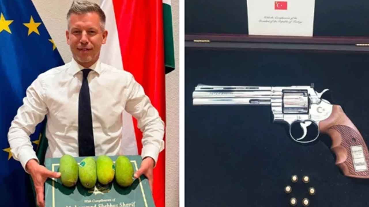 Foto - Peter Magyar'ın Türkiye ile ilgili yaptığı gönderme olay oldu: Herkes tabanca vermez