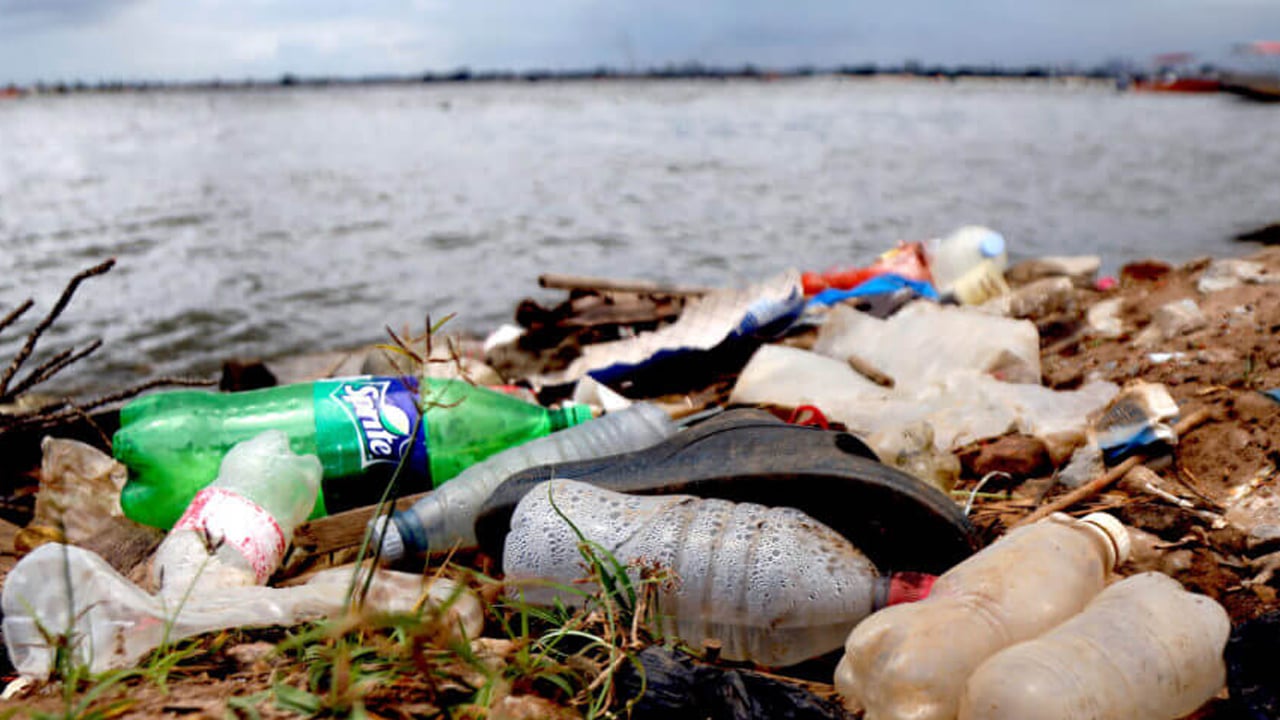 Petrol yerine nişasta devreye alın! O isimden ezber bozan analiz: O sözlerini duyan şaşkına döndü