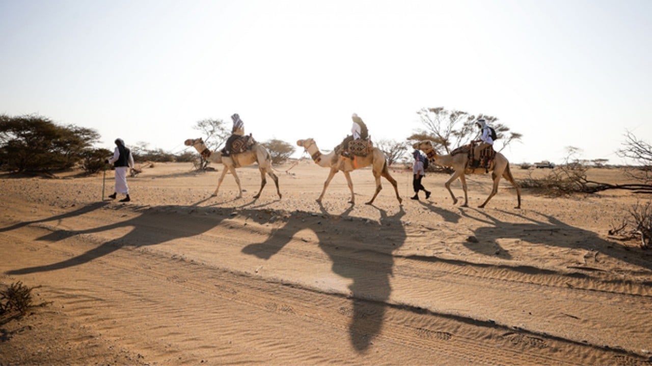 Foto - Peygamberimizin Mekke'den Medine'ye yaptığı hicretin izini sürüyorlar! Hicret rotasındaki yürüyüşte sona yaklaşılıyor