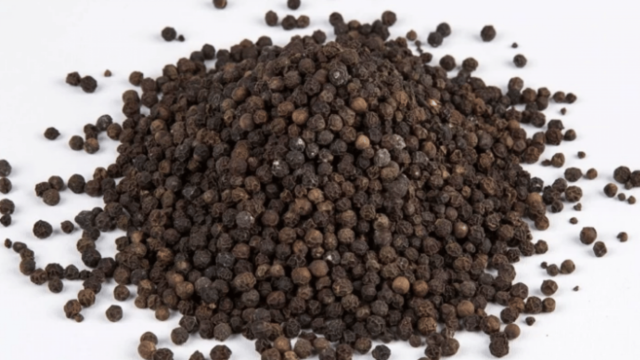 Foto - Piperin maddesiyle: Metabolizmayı ateşleyen mucize: Karabiberin hiç bilinmeyen bu etkisine şaşıracaksınız