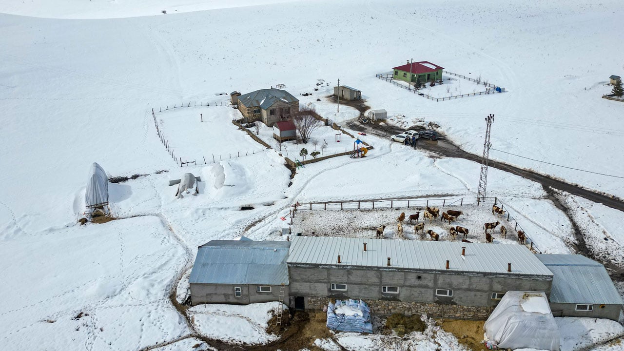 Foto - Plazayı bırakıp köye döndü! Makine mühendisi ata toprağında kazancını ikiye katladı
