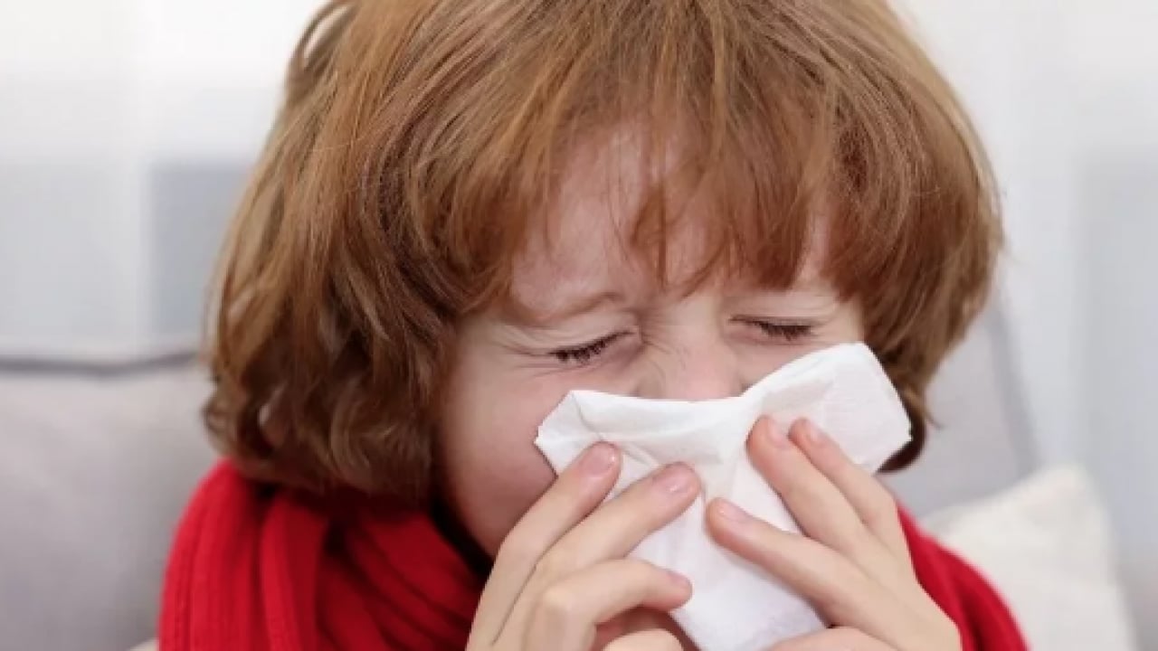 Foto - Polen filtreleri... Baharla birlikte gelen polen mevsimi kabusunuz olmasın