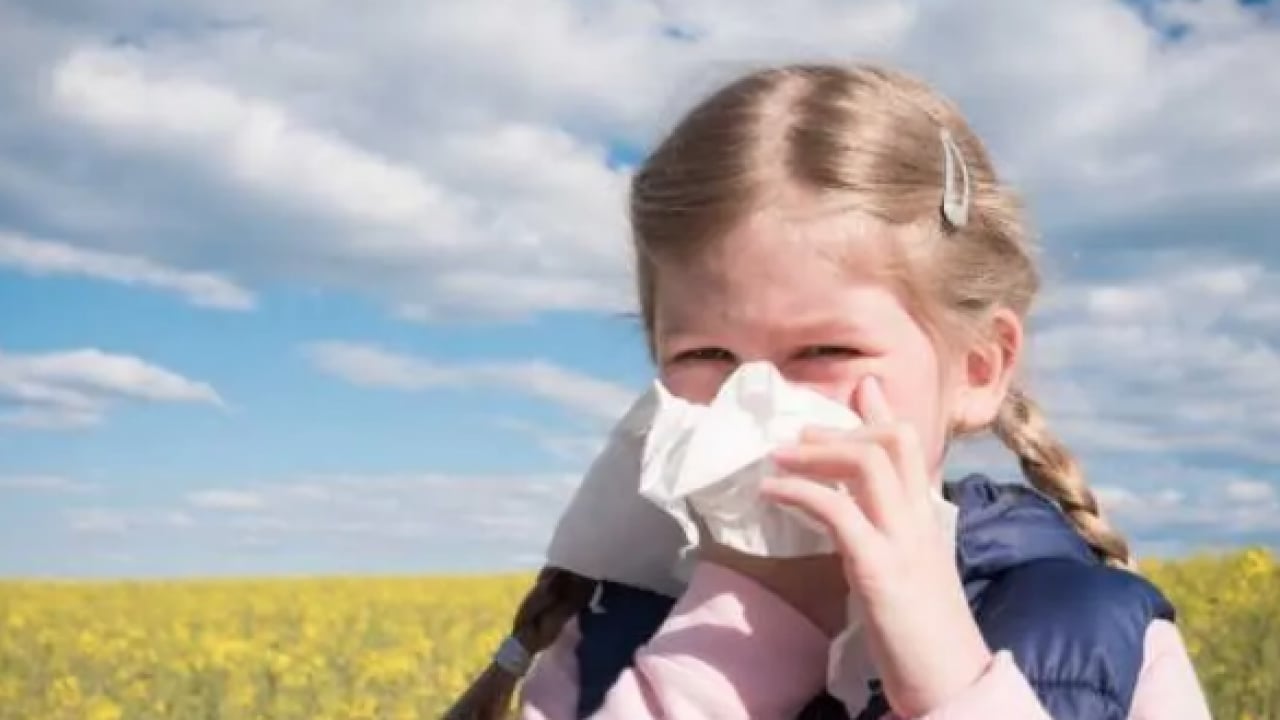 Foto - Polen filtreleri... Baharla birlikte gelen polen mevsimi kabusunuz olmasın