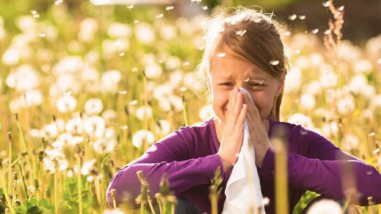 Foto - Polen filtreleri... Baharla birlikte gelen polen mevsimi kabusunuz olmasın