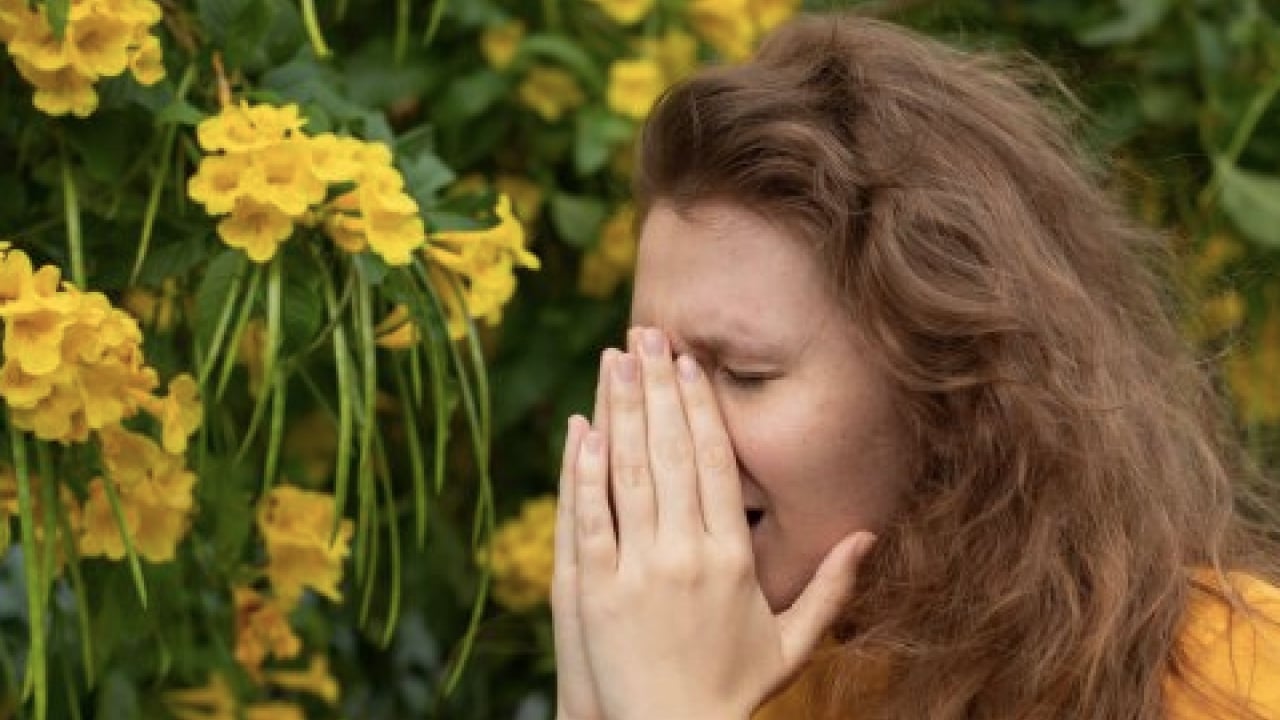 Foto - Polen filtreleri... Baharla birlikte gelen polen mevsimi kabusunuz olmasın