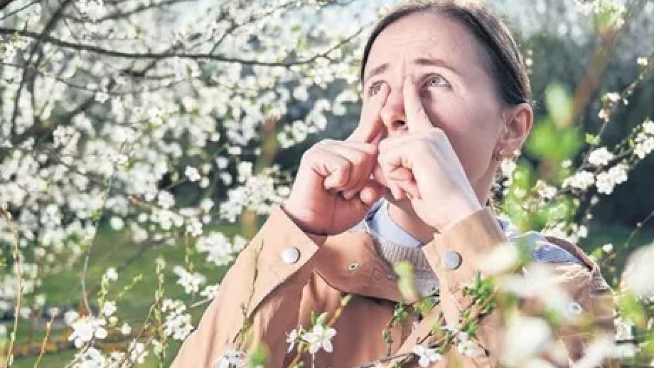 Foto - Polen filtreleri... Baharla birlikte gelen polen mevsimi kabusunuz olmasın