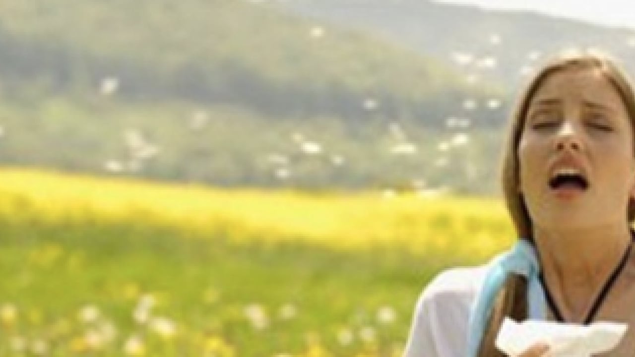 Foto - Polen filtreleri... Baharla birlikte gelen polen mevsimi kabusunuz olmasın