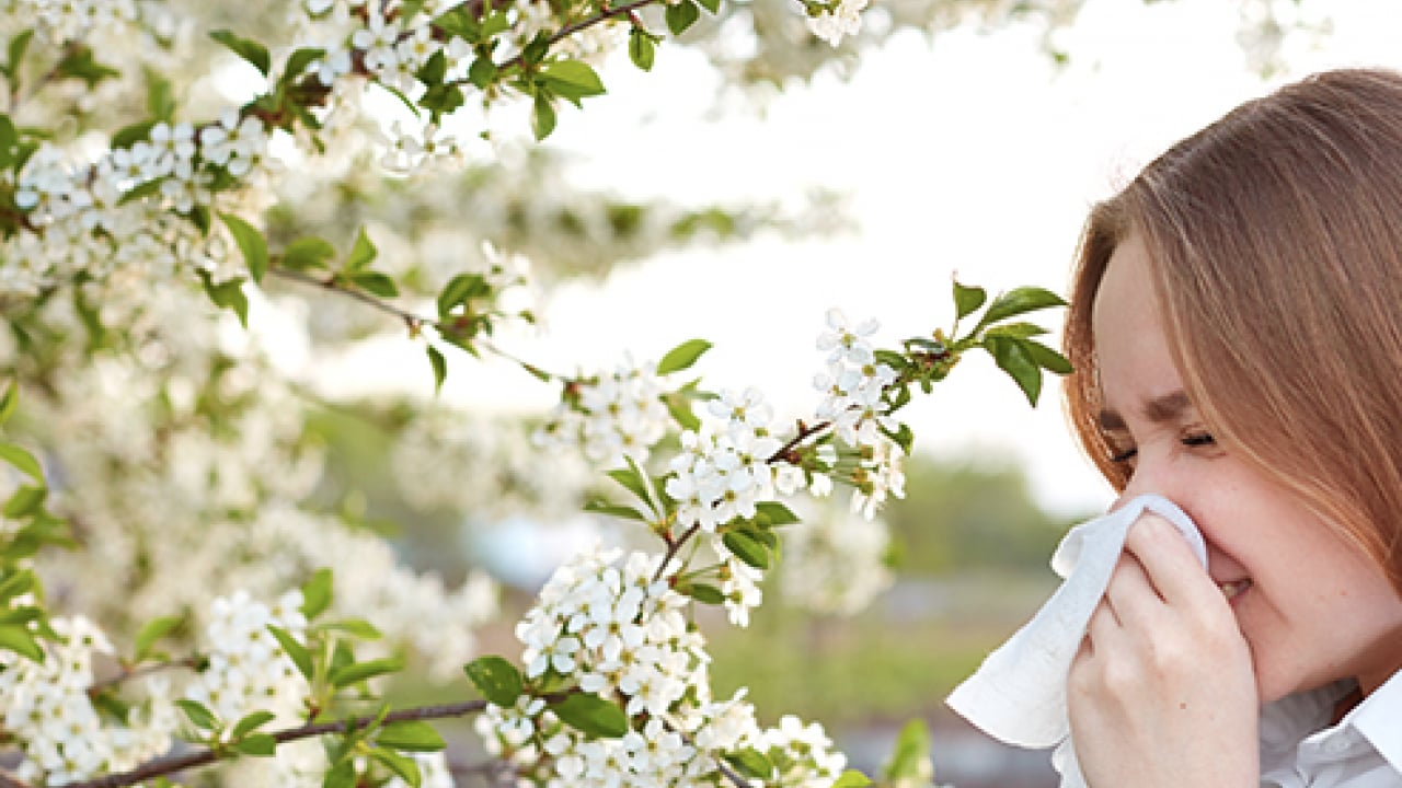 Foto - Polen filtreleri... Baharla birlikte gelen polen mevsimi kabusunuz olmasın