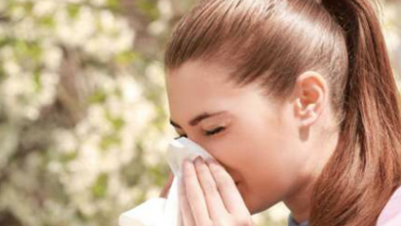 Foto - Polen filtreleri... Baharla birlikte gelen polen mevsimi kabusunuz olmasın