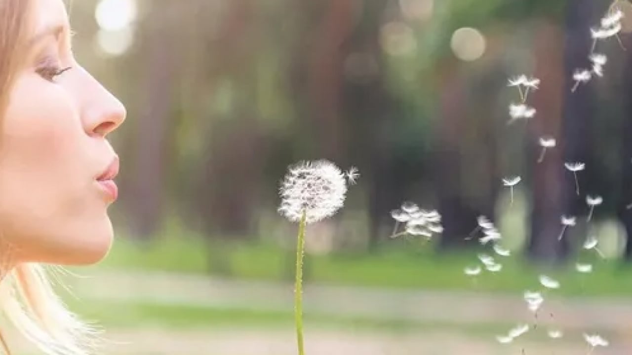 Foto - Polen filtreleri... Baharla birlikte gelen polen mevsimi kabusunuz olmasın