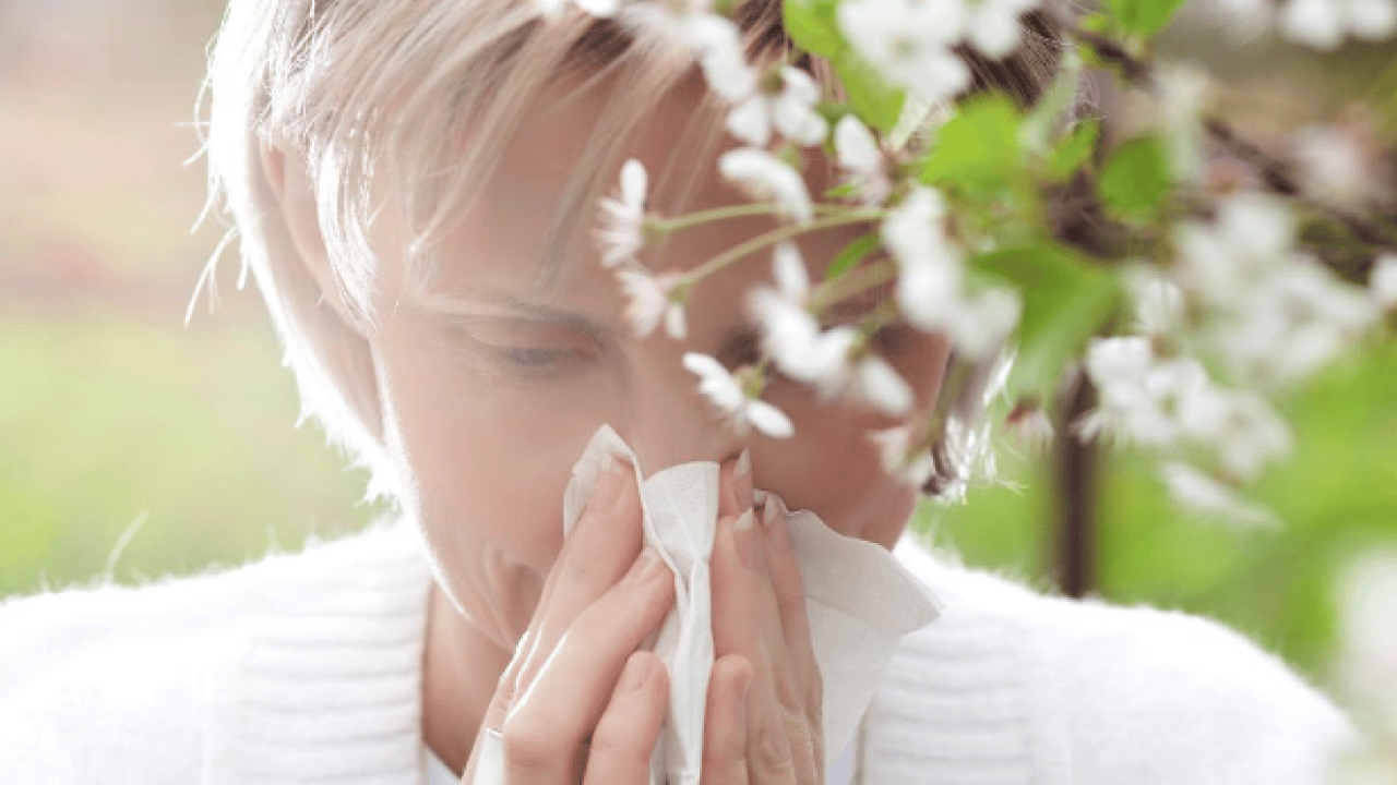 Polen filtreleri... Baharla birlikte gelen polen mevsimi kabusunuz olmasın