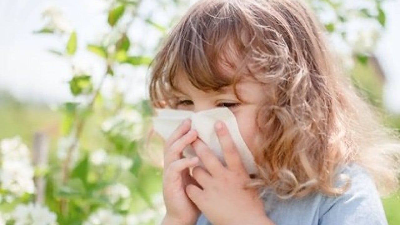 Foto - Polen savaşçısı bitki! Sebzeleri tahtından indirdi: Alerjisi olanlar faydaları sınır tanımıyor! Fazla C vitamini var
