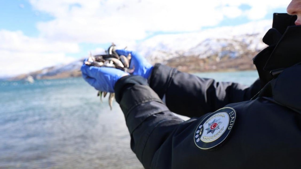 Foto - Polisin şefkat eli martı ve tavşanlara uzandı