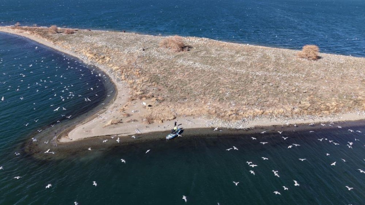 Foto - Polisin şefkat eli martı ve tavşanlara uzandı