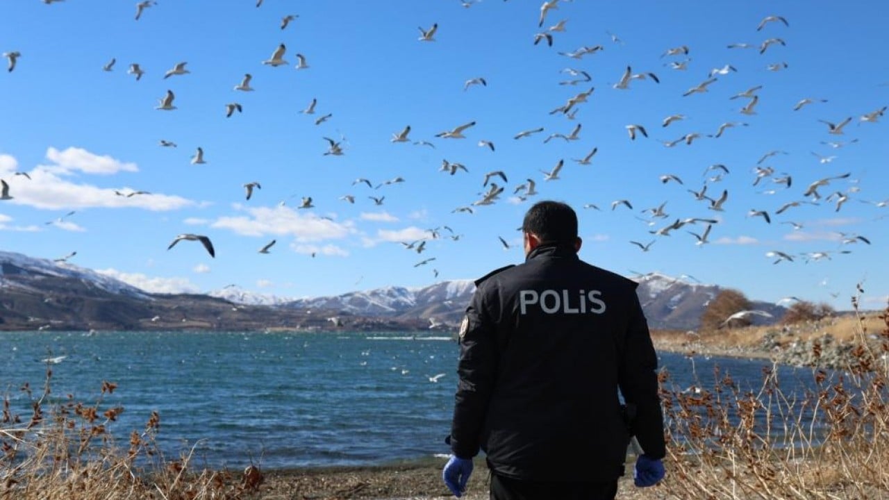 Foto - Polisin şefkat eli martı ve tavşanlara uzandı