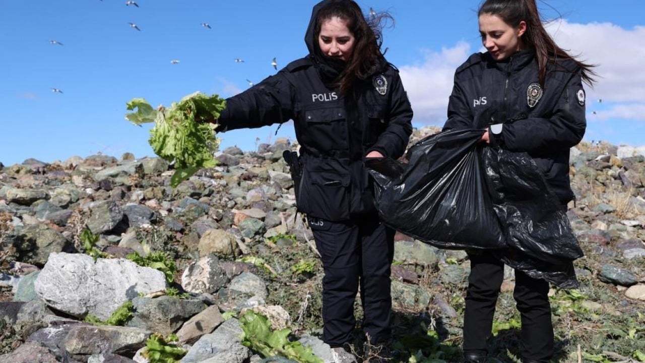 Foto - Polisin şefkat eli martı ve tavşanlara uzandı