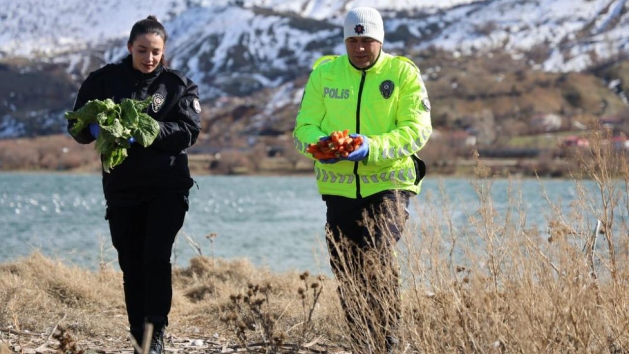 Foto - Polisin şefkat eli martı ve tavşanlara uzandı