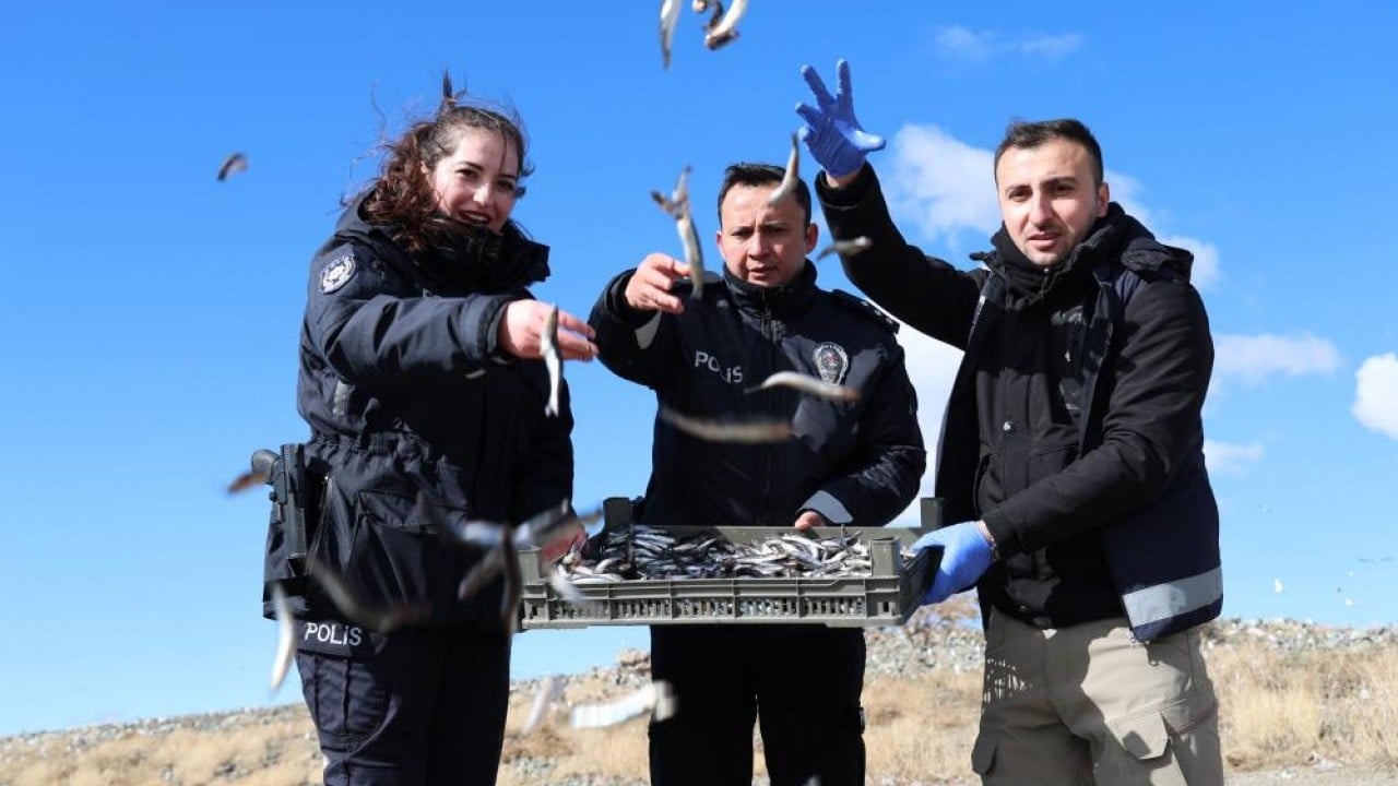 Foto - Polisin şefkat eli martı ve tavşanlara uzandı