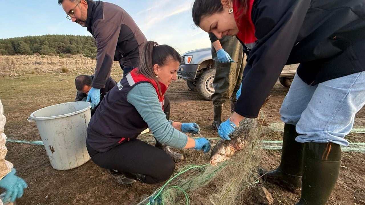 Popülasyonu tehdit eden gizli tehlike... 5 kilometrelik 'hayalet ağ' toplandı