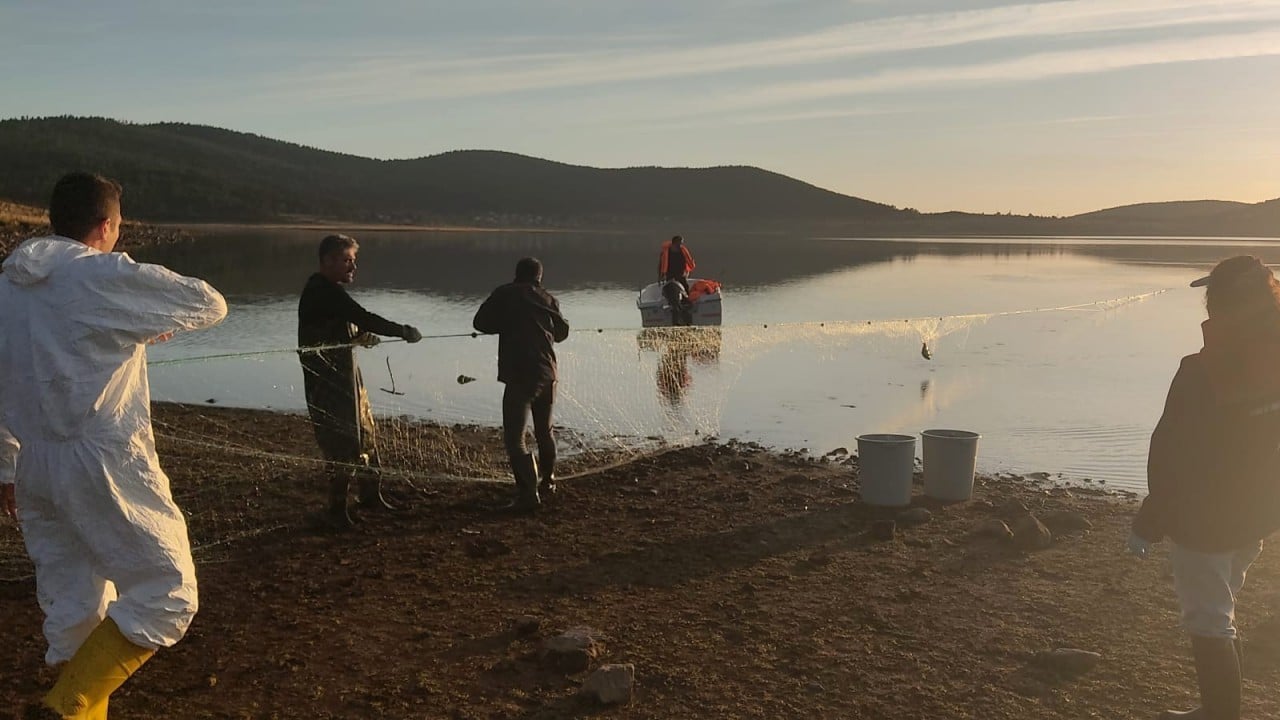 Foto - Popülasyonu tehdit eden gizli tehlike... 5 kilometrelik 'hayalet ağ' toplandı