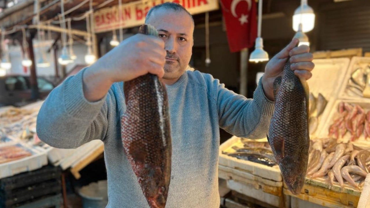 Foto - ‘Portakal benekli lagos' tezgaha çıktı Hindistan'dan geldi baş köşeye kuruldu