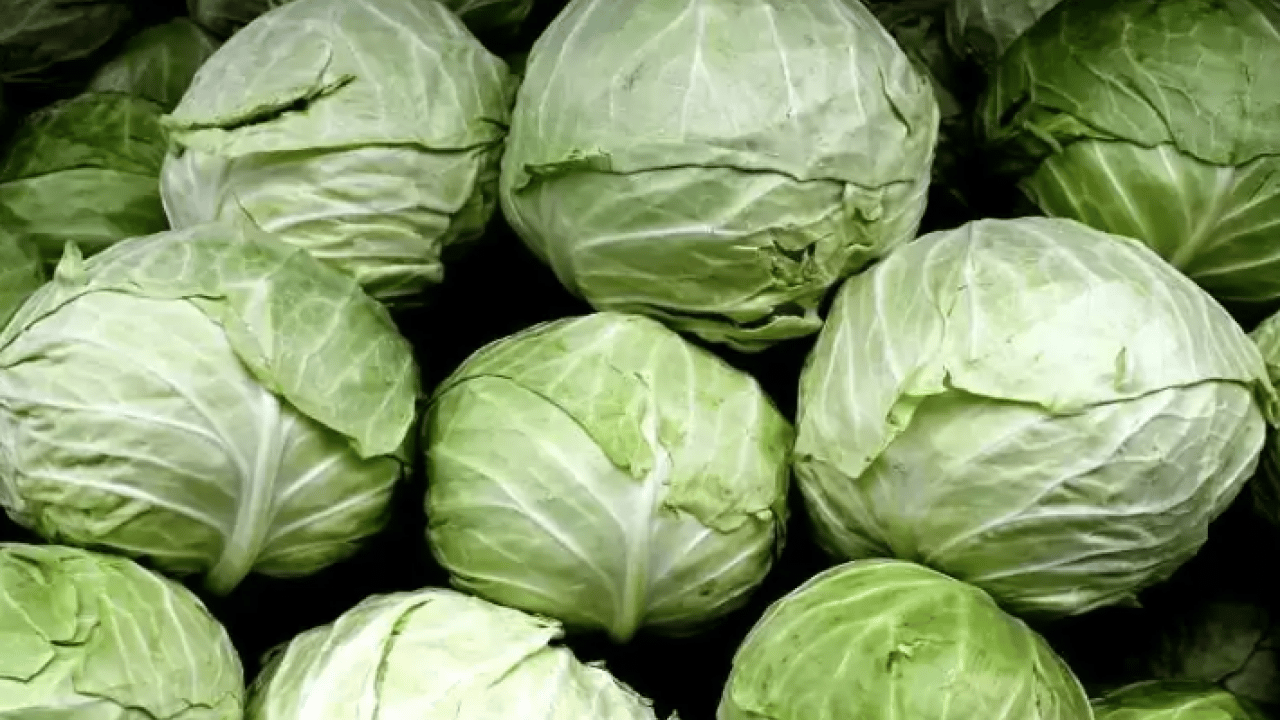 Foto - Kış boyunca hastalık yüzü göstermiyor: 1 kase tüketin yeter!