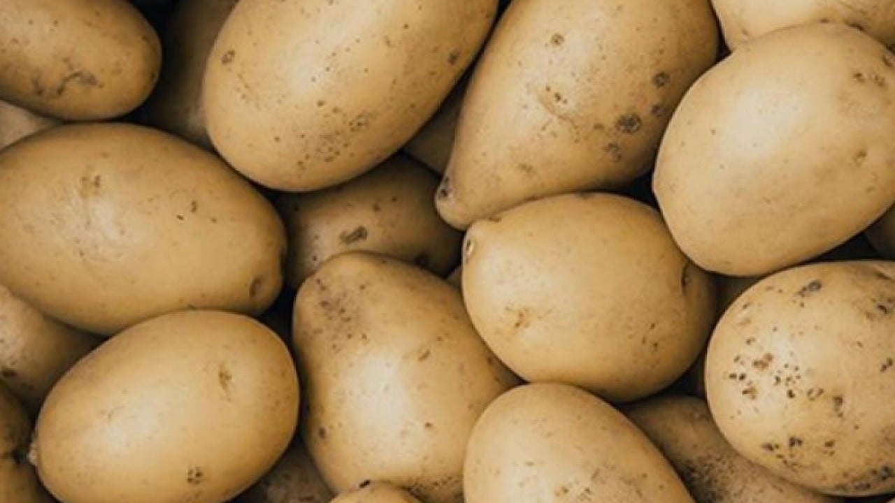 Potasyum deposu olarak biliniyor! Patates hakkında bilinmeyen gerçekler