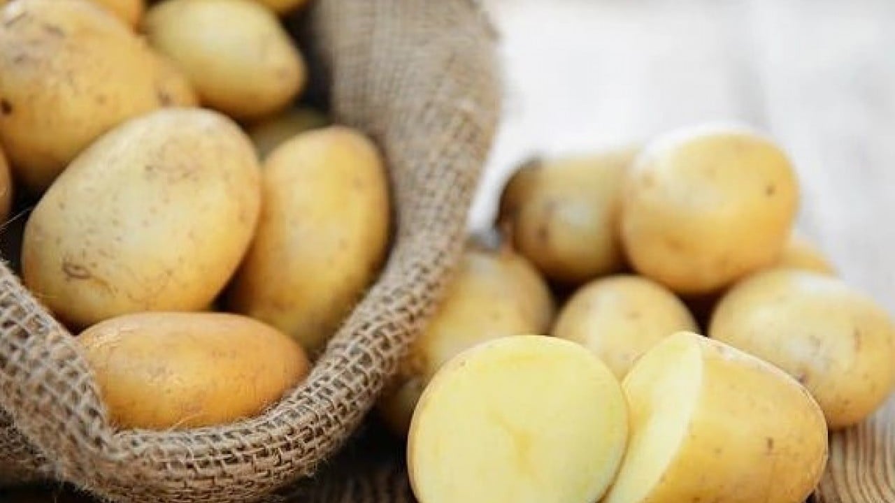 Foto - Potasyum deposu olarak biliniyor! Patates hakkında bilinmeyen gerçekler