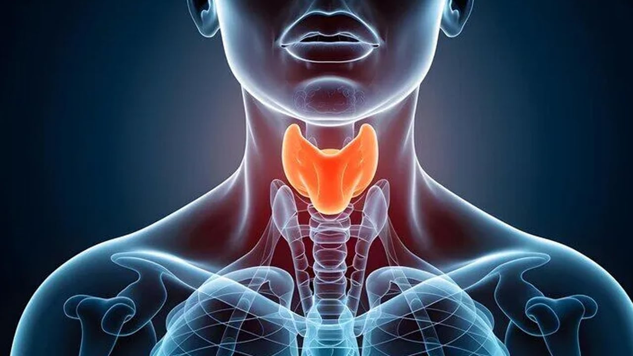 Prof. Dr. Ahmet Karacalar uyardı: Bu bir obezite değil, ilkel çağlardan kalan 'evrimsel' bir miras