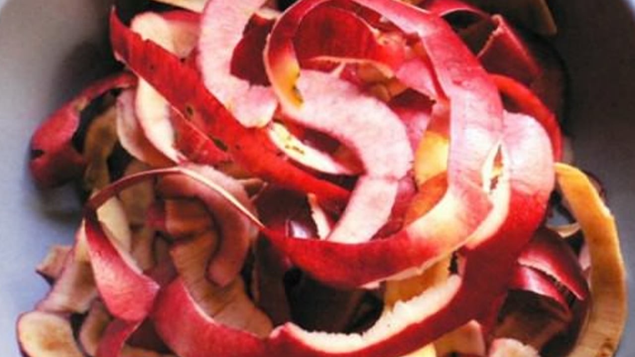 Foto - Prof. Dr. Canan Karatay'dan çok konuşulacak çıkış: Elma kabuğu önerdi! Ezber bozdu... Önce onu önermişti