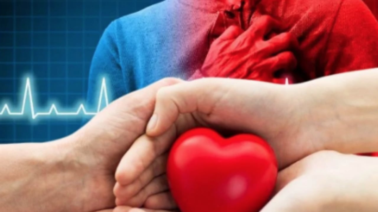 Foto - Prof. Dr. ciddi şekilde uyardı... Kalp ve damar sağlığı için ilk adım anne karnında atılıyor