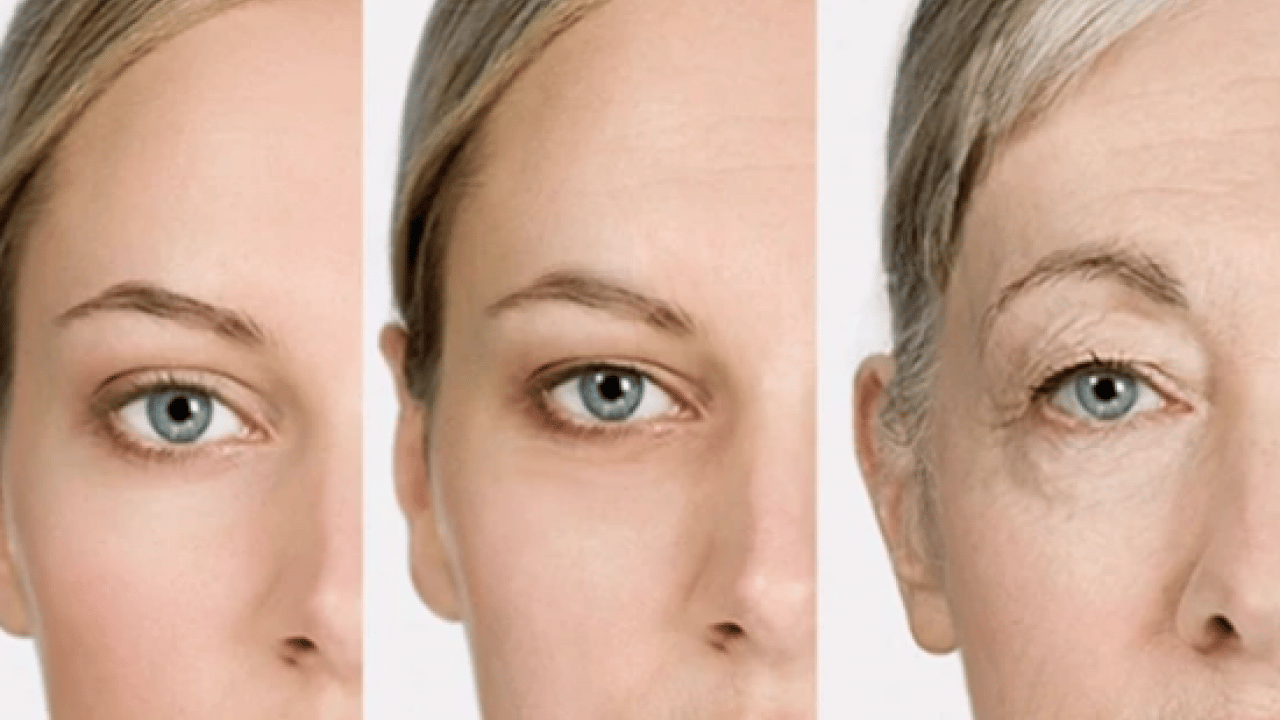 Foto - Prof. Dr. Osman Müftüoğlu uzun yaşamanın temelindeki sırlarını anlattı