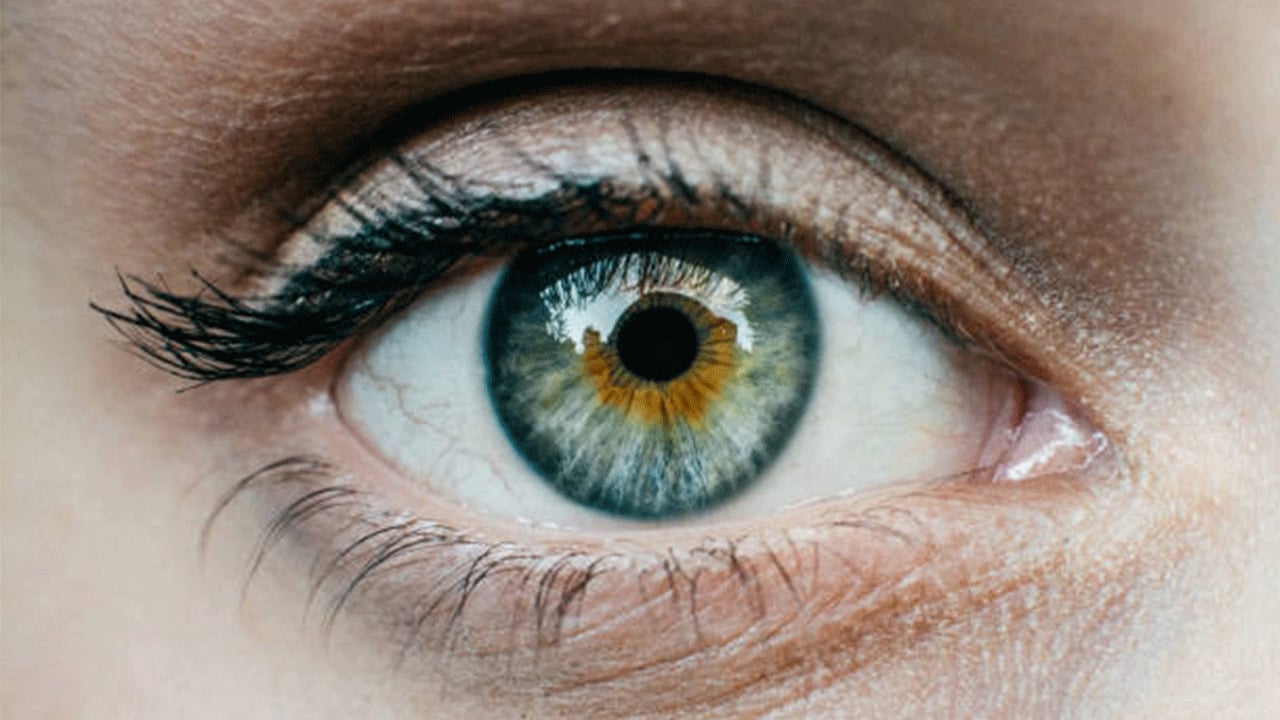 Foto - Prof. Dr. Özdemir'in uyarısı: Sadece yapay zeka değil dedi! ‘Kontrol şart'! Yüzde 99 başarı var, sebebi tek tek açıkladı