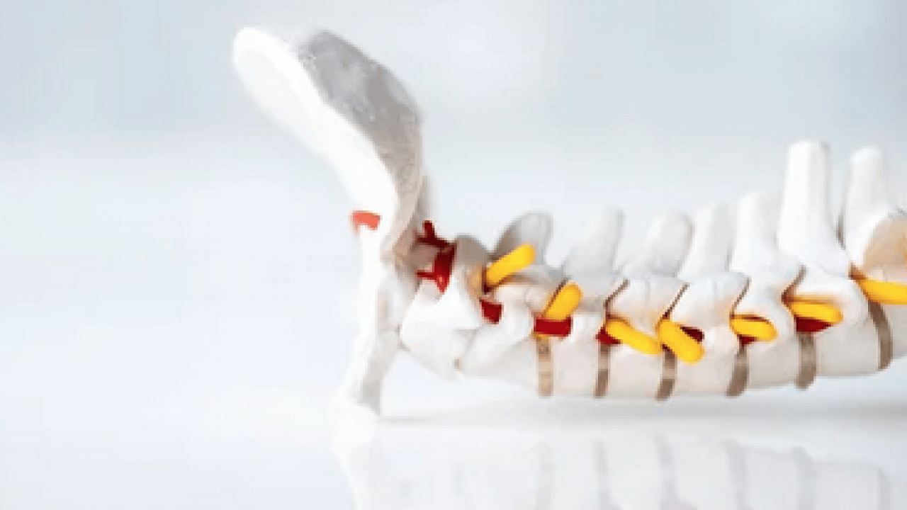 Foto - Prof. Dr'dan kritik açıklamalar! Buffalo Hump ve kronik ağrılar uyarısı geldi...