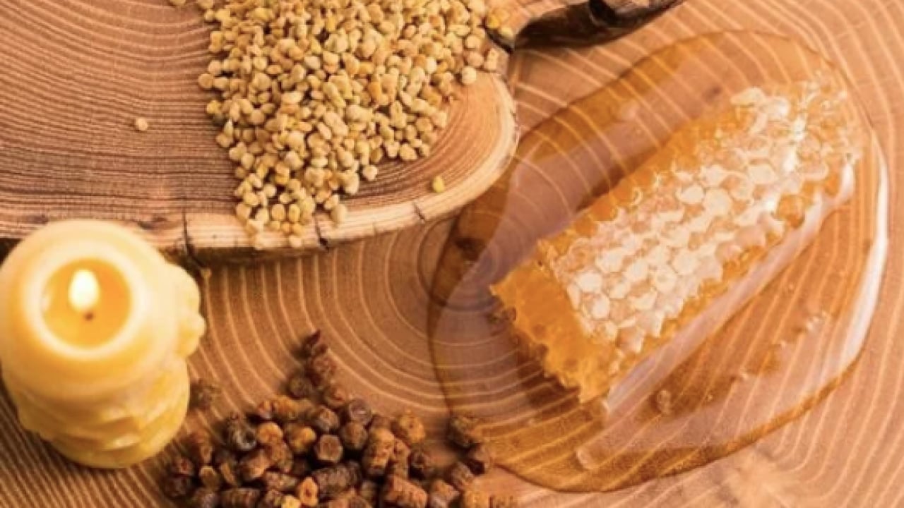 Foto - Propolis öldürüyor: Bilimsel veriler korkunç... Doğal şifanın gölgesindeki risk