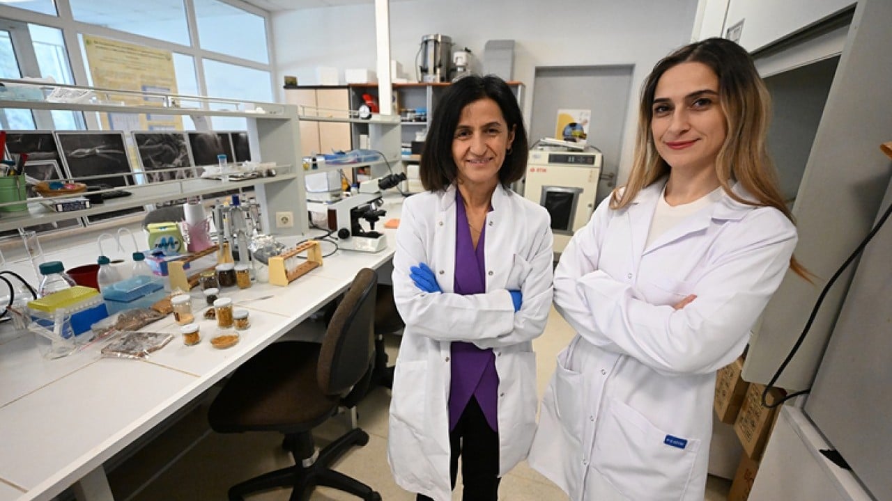 Foto - Propolis tüketmek çocukları nasıl etkiliyor? Araştırma sonucu açıklandı